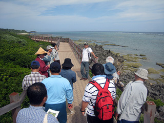 海岸植物の観察体験プログラム