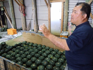 かぼちゃ先生　上間さん