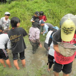 湿地帯で生き物観察