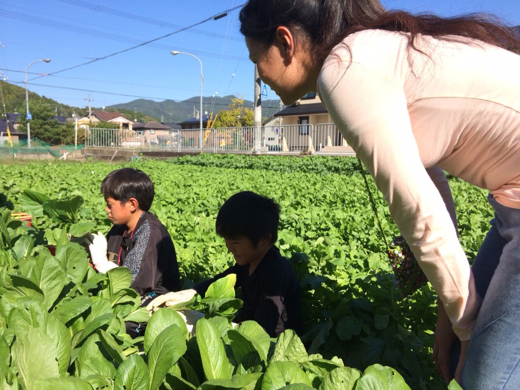 南大東の子が京都で農業体験